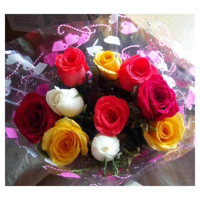 Rose Fairtrade Mix, 40 cm